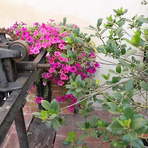 Hotel La Vecchia Cartiera